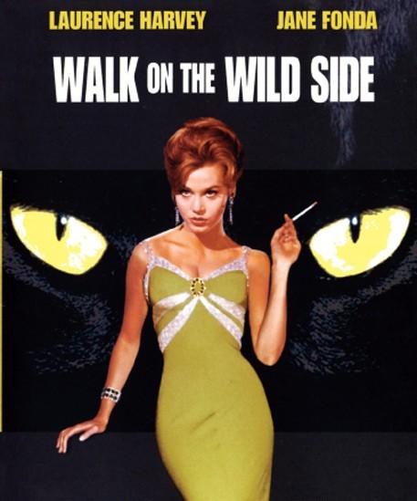 la gata negra 1962.jpg